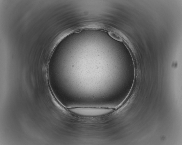 X0000096941433200802221310