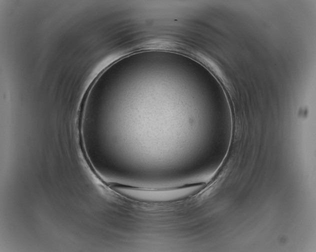 X0000096941434200802221310