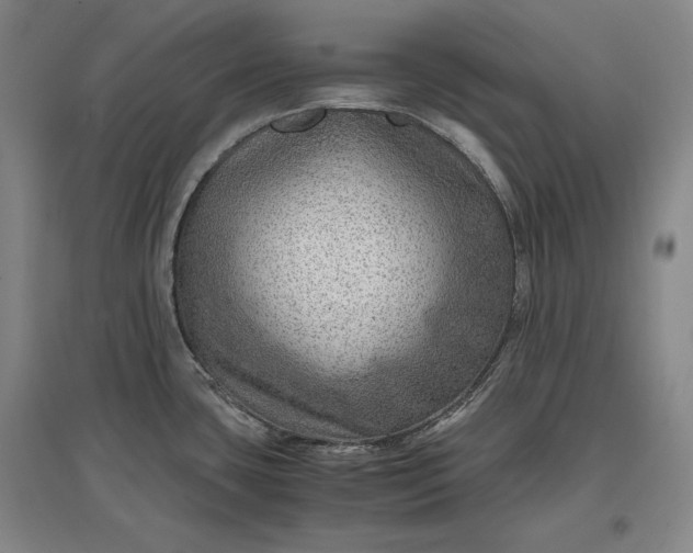 X0000096941435200802221310