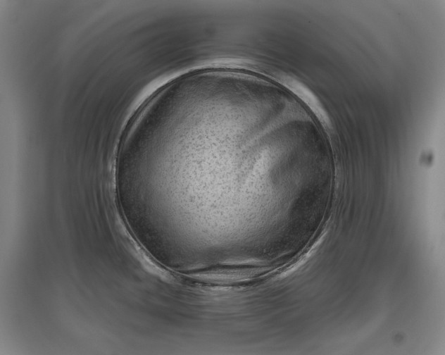 X0000096941436200802221310