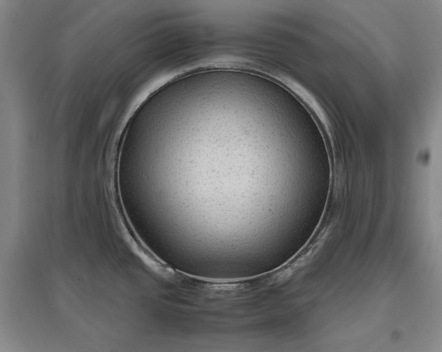 X0000096941437200802221310