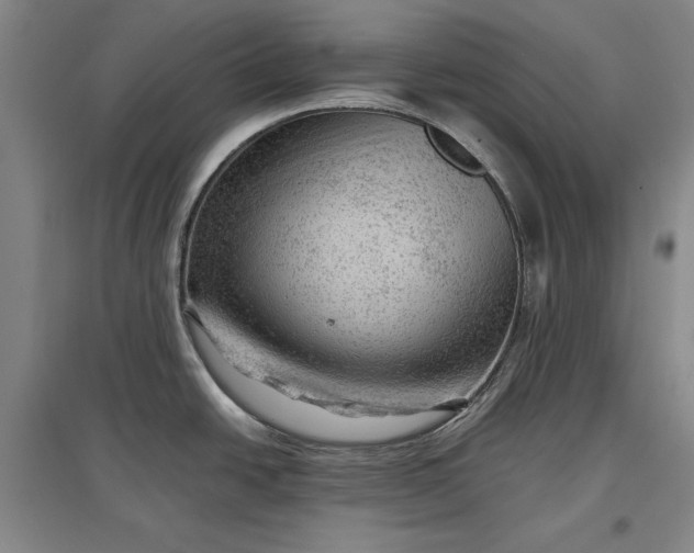 X0000096941438200802221310