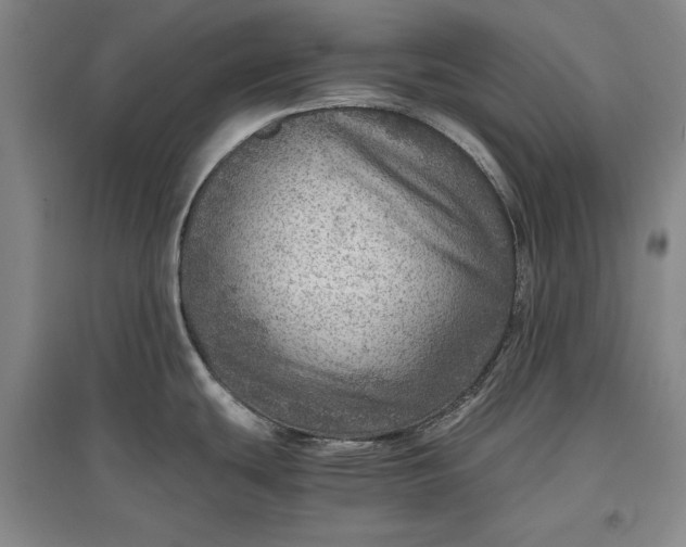 X0000096941439200802221310