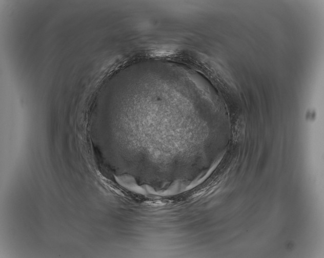 X0000096941441200802221309