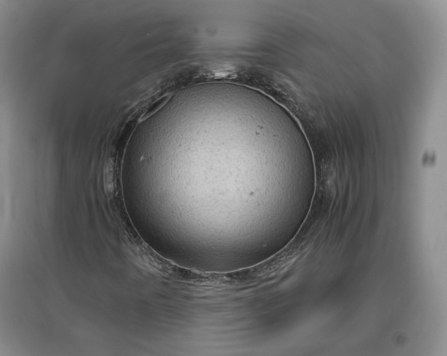 X0000096941442200802221309