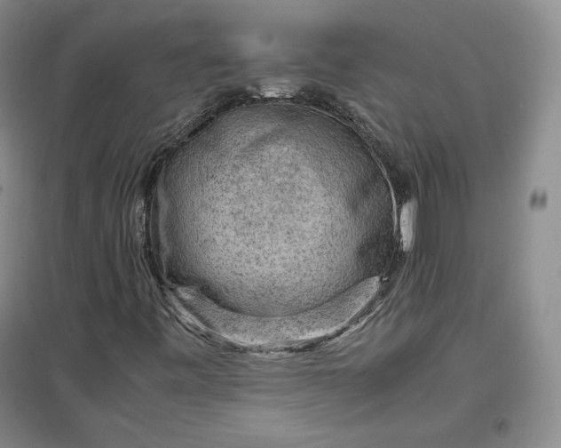 X0000096941443200802221309