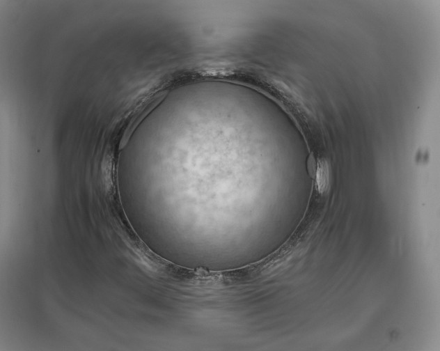 X0000096941444200802221309