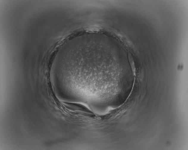 X0000096941445200802221309