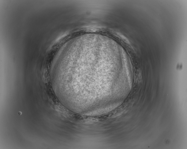 X0000096941446200802221309