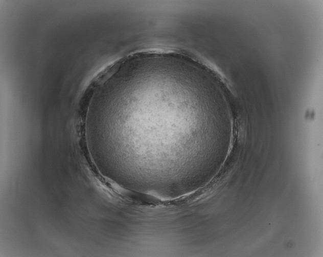 X0000096941448200802221309