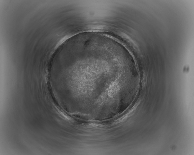 X0000096941449200802221309