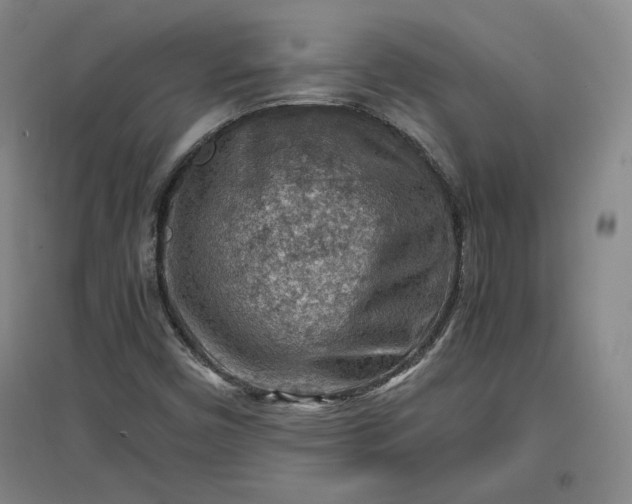 X0000096941450200802221309