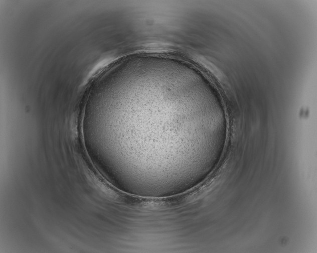 X0000096941451200802221309