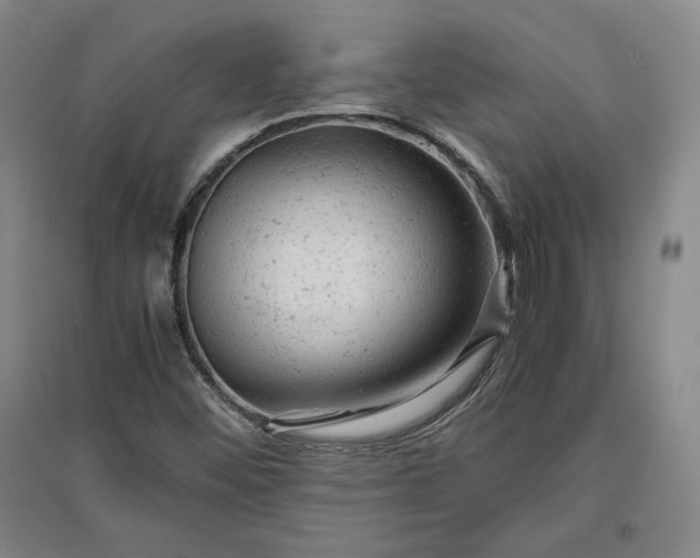 X0000096941452200802221309