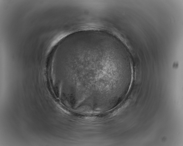 X0000096941453200802221309