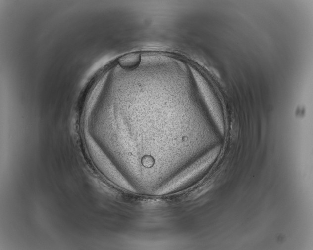 X0000096941454200802221309