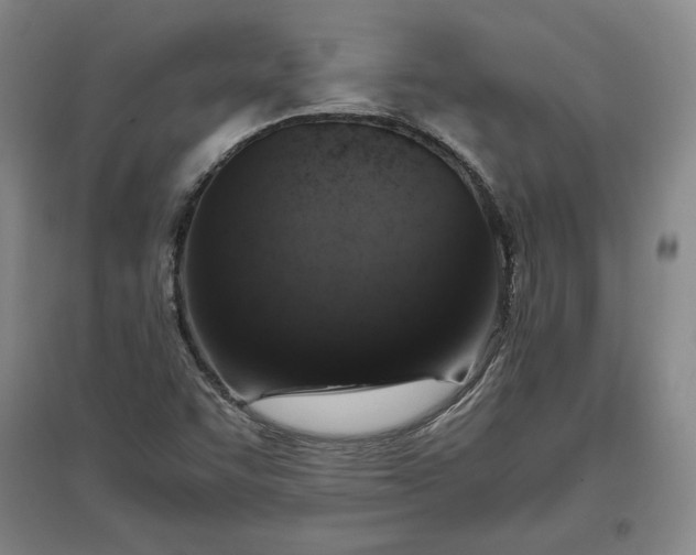 X0000096941455200802221309