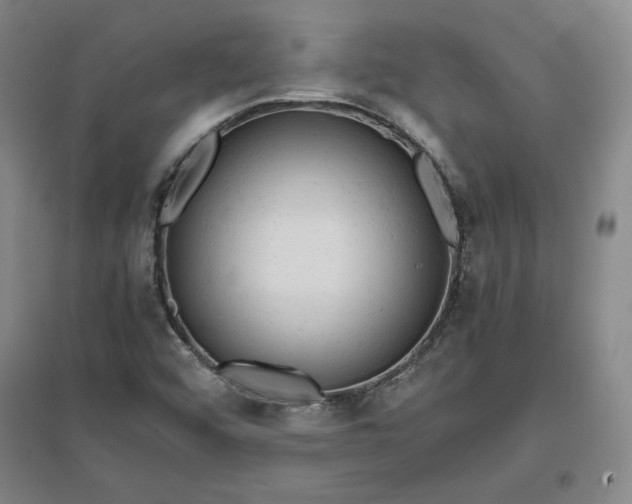 X0000096941456200802221309