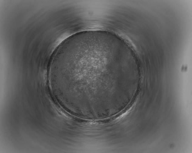 X0000096941457200802221309