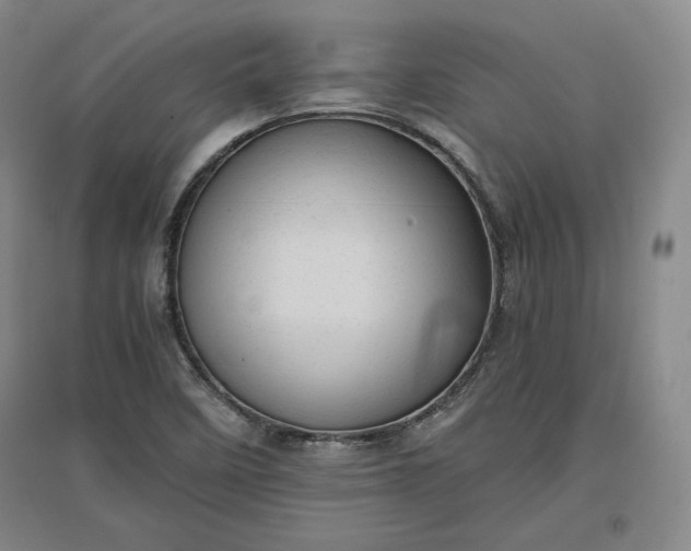 X0000096941458200802221309