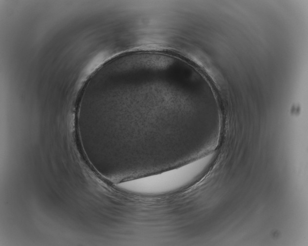 X0000096941459200802221309