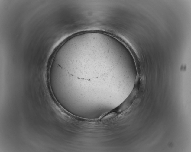 X0000096941460200802221309