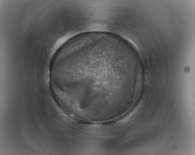 X0000096941461200802221309