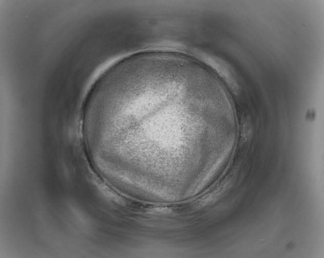 X0000096941462200802221309