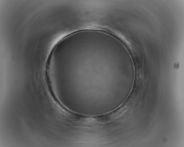 X0000096941463200802221309