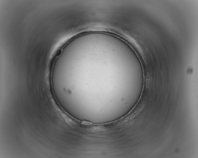 X0000096941464200802221309