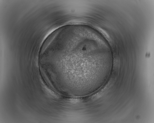 X0000096941465200802221309