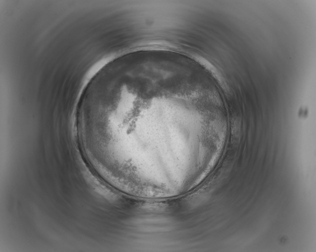 X0000096941466200802221309