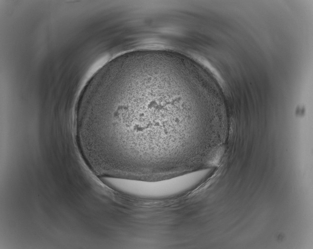 X0000096941467200802221309