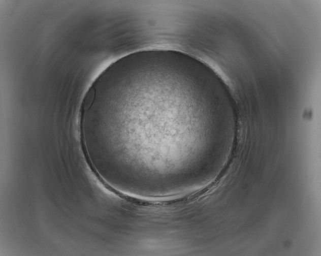 X0000096941468200802221309