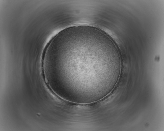 X0000096941469200802221309