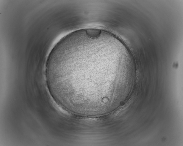 X0000096941470200802221309