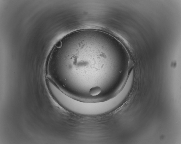 X0000096941471200802221309