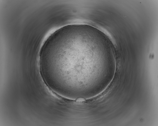 X0000096941472200802221309