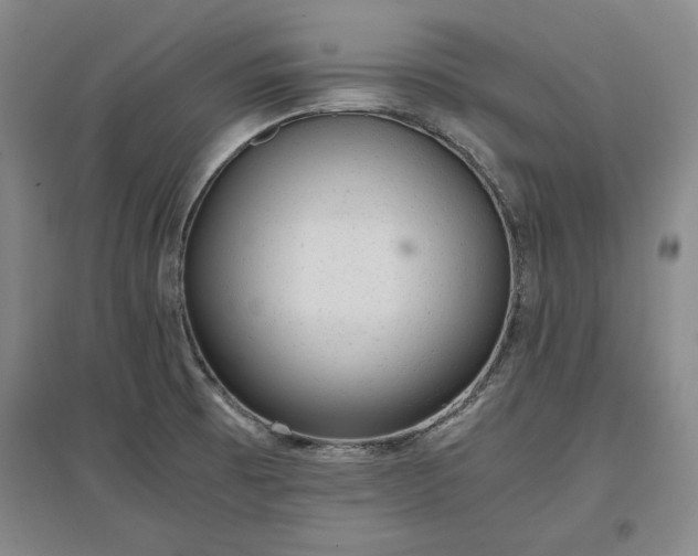 X0000096941473200802221309