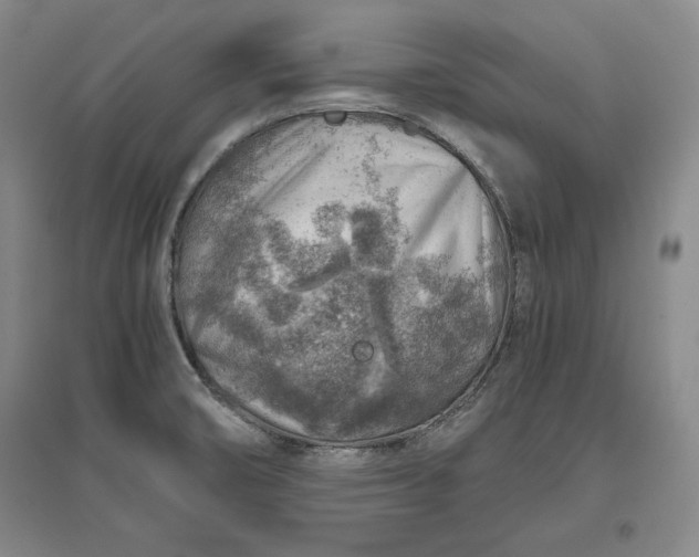 X0000096941474200802221309