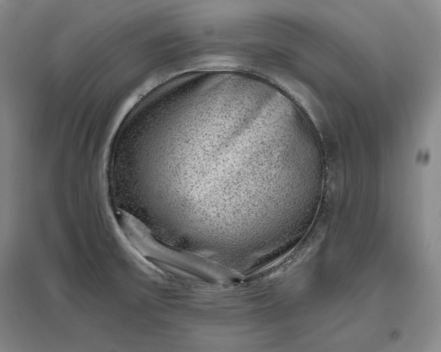 X0000096941475200802221309