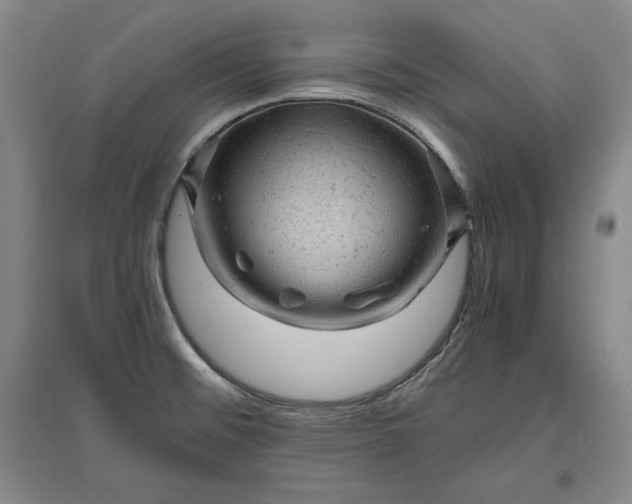 X0000096941476200802221309