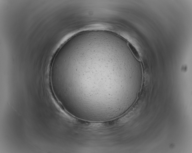 X0000096941477200802221309