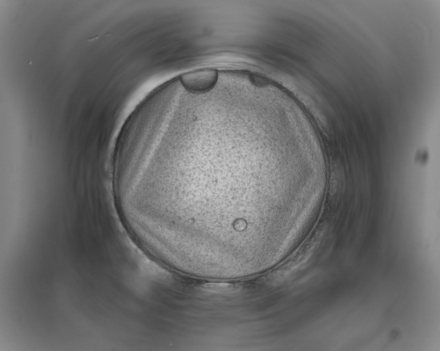 X0000096941478200802221309