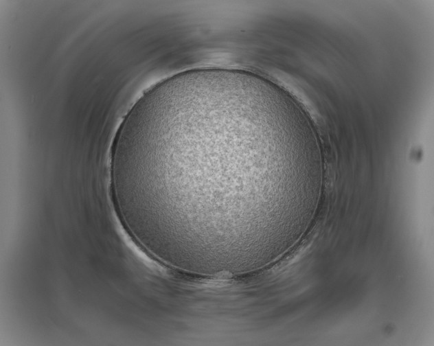 X0000096941479200802221309