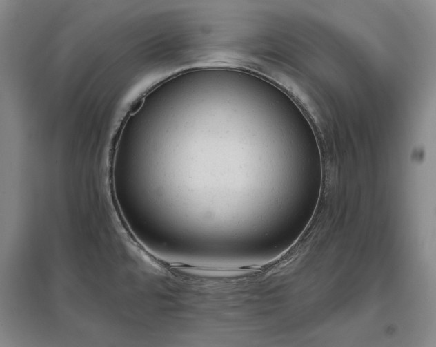 X0000096941480200802221309