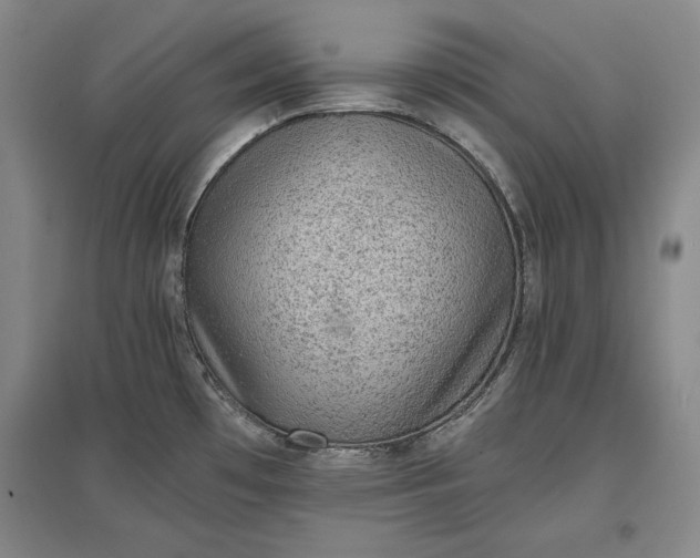 X0000096941481200802221309