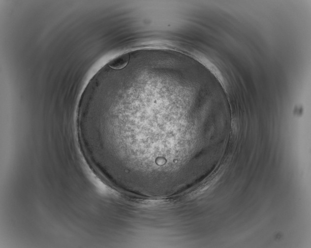 X0000096941482200802221309