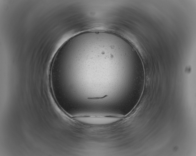 X0000096941483200802221309