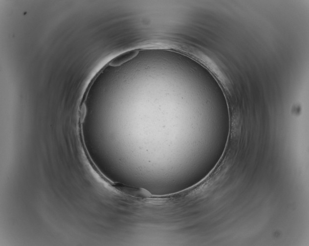 X0000096941484200802221309